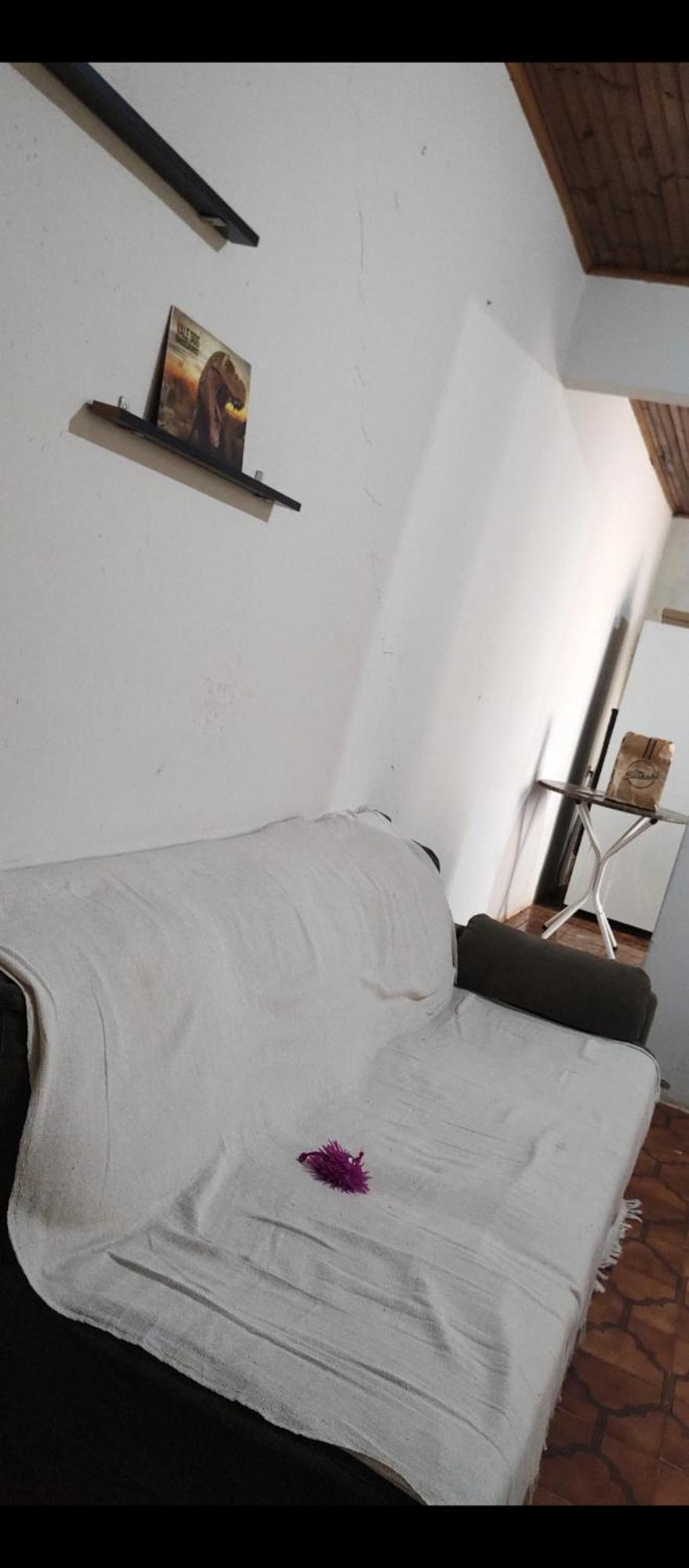 Pe De Pitanga - Unica Casa Arborizada Do Quarteirao Com Arvores Frutiferas Maringá Exterior foto